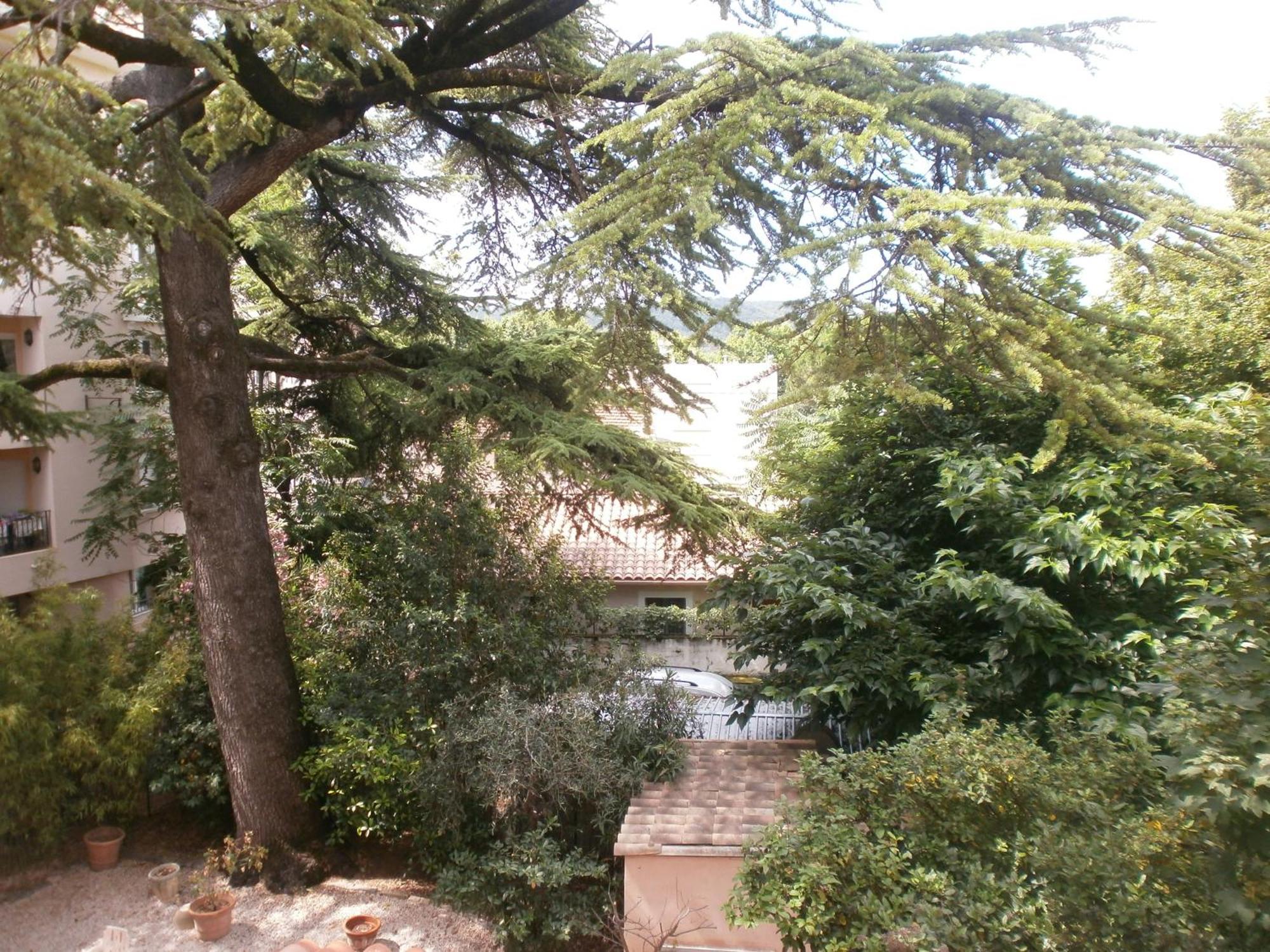 Hôtel Le Victoria Draguignan Habitación foto